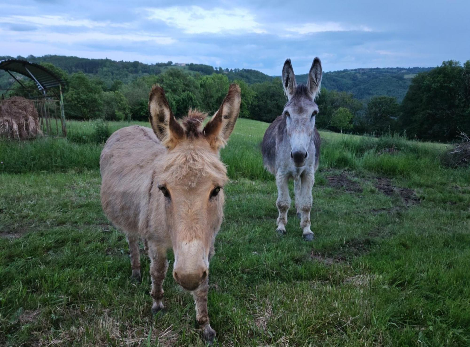 Gite De La Garrigue Brandonnet Zewnętrze zdjęcie